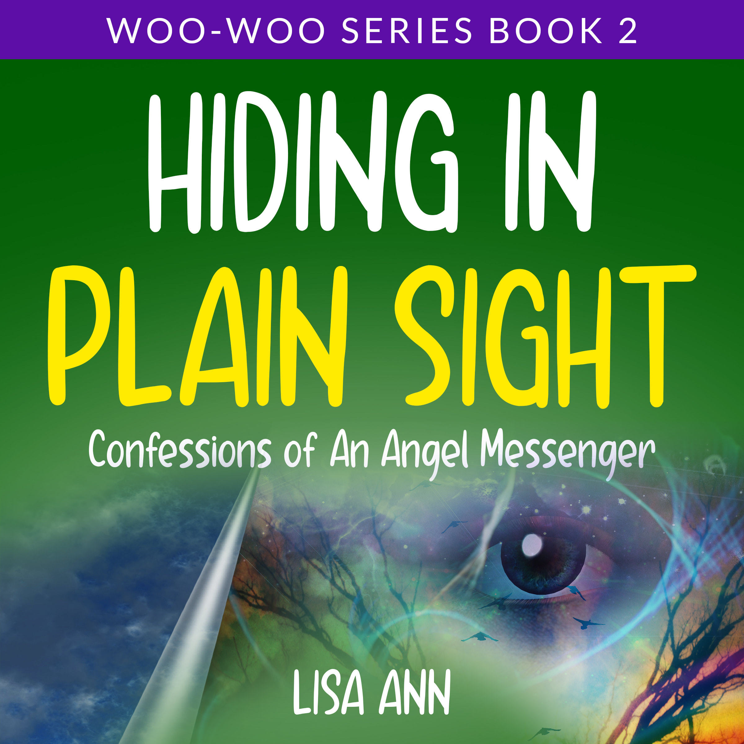 HIDING IN PLAIN SIGHT - Book 2